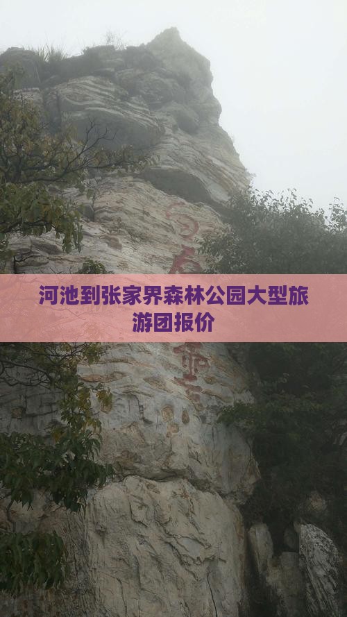 河池到张家界森林公园大型旅游团报价
