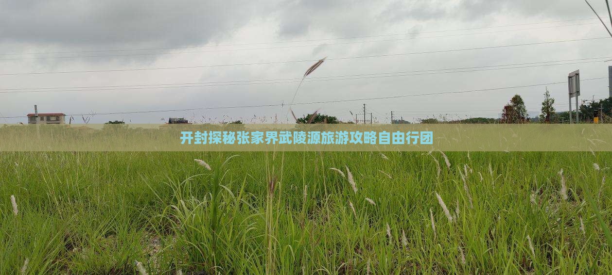 开封探秘张家界武陵源旅游攻略自由行团