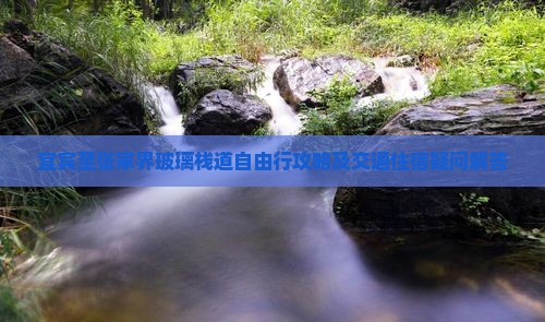 宜宾至张家界玻璃栈道自由行攻略及交通住宿疑问解答