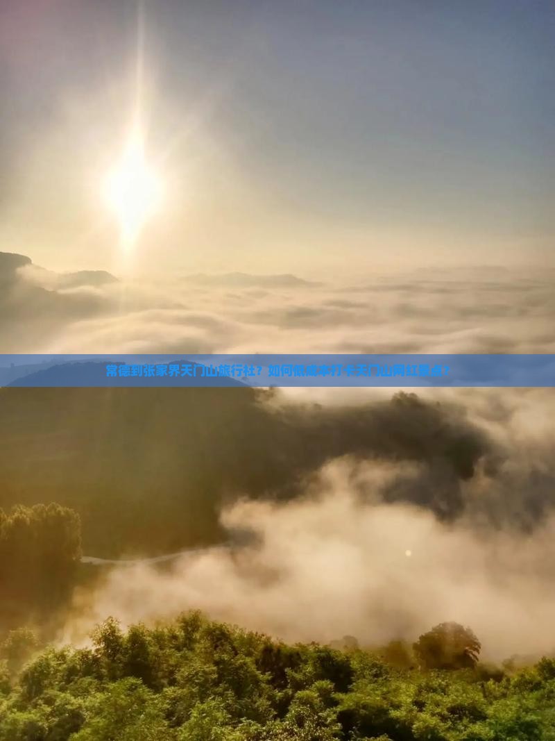 常德到张家界天门山旅行社？如何低成本打卡天门山网红景点？