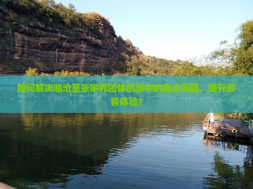 如何解决临沧至张家界团体旅游中的痛点问题，提升游客体验？