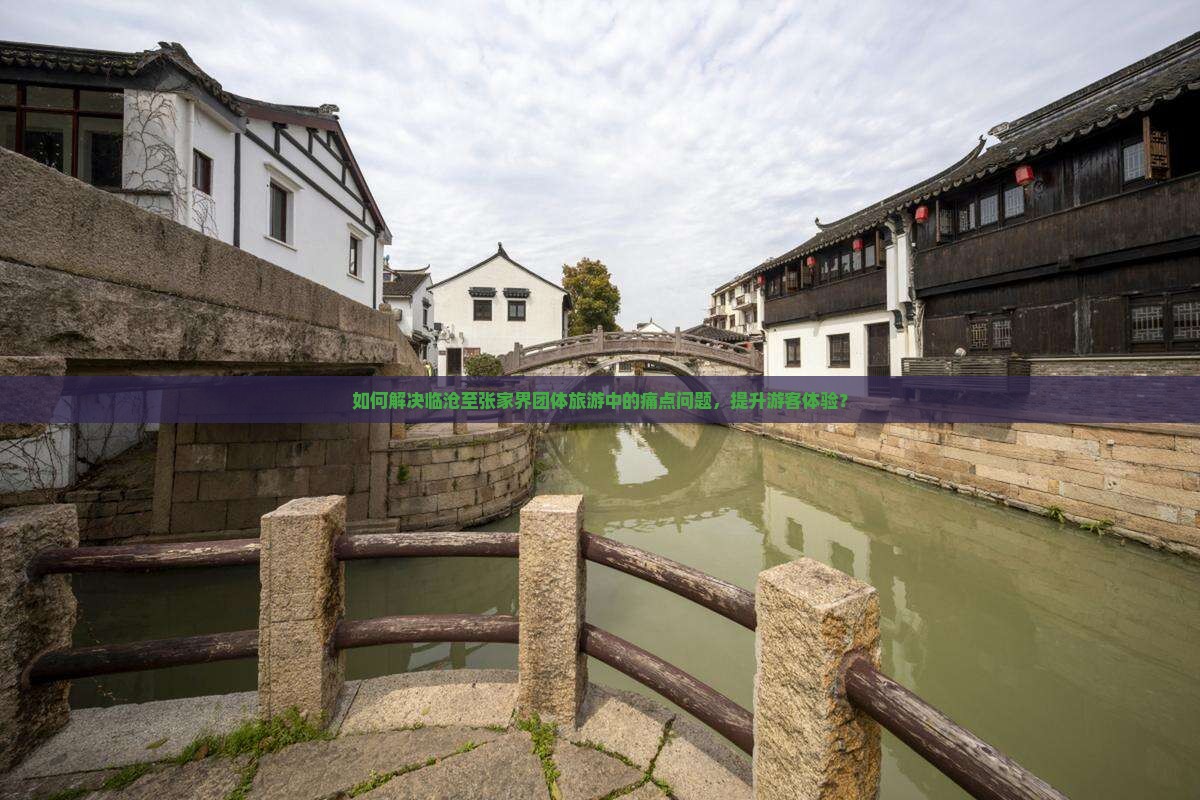 如何解决临沧至张家界团体旅游中的痛点问题，提升游客体验？
