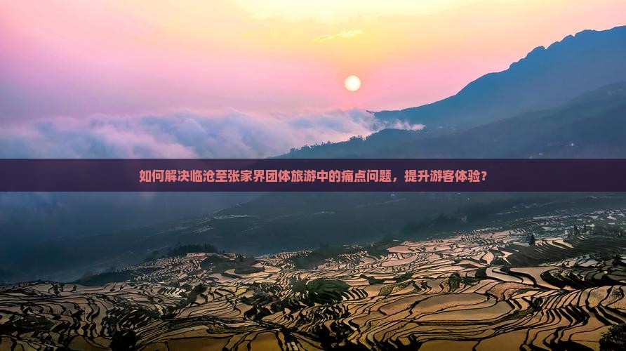 如何解决临沧至张家界团体旅游中的痛点问题，提升游客体验？