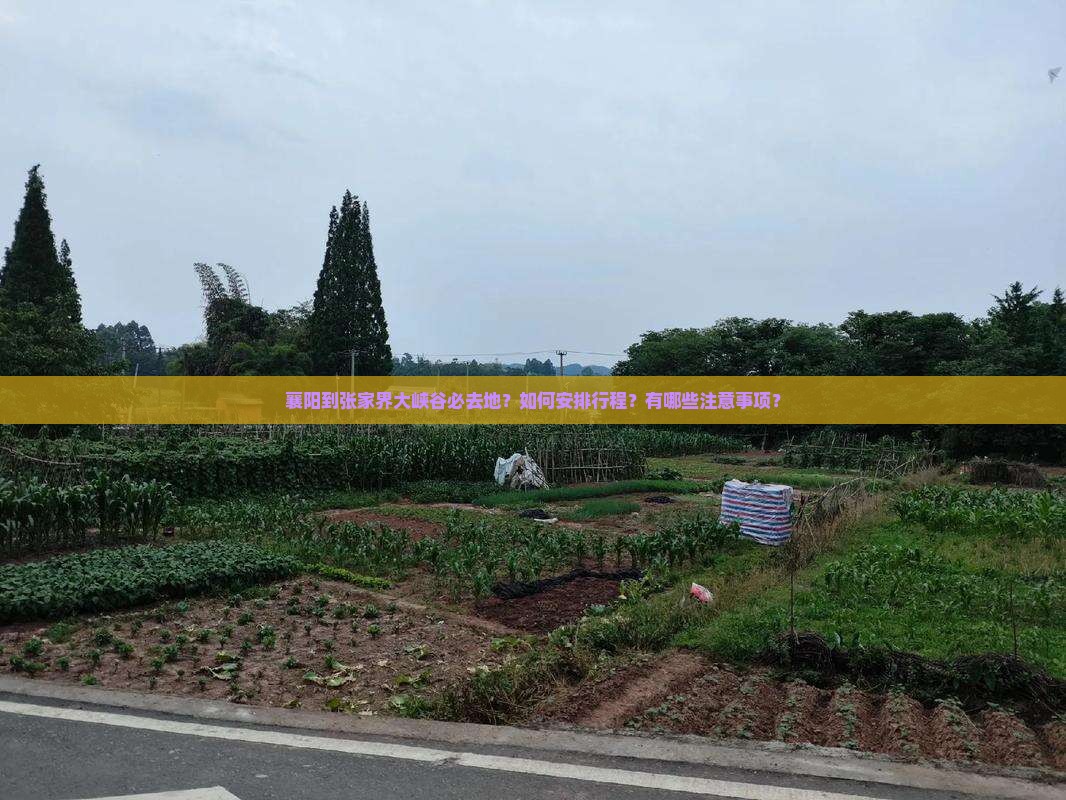 襄阳到张家界大峡谷必去地？如何安排行程？有哪些注意事项？