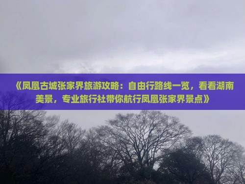 《凤凰古城张家界旅游攻略：自由行路线一览，看看湖南美景，专业旅行社带你航行凤凰张家界景点》