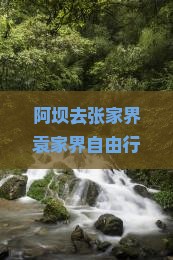 阿坝去张家界袁家界自由行攻略：必看景点与详细行程安排
