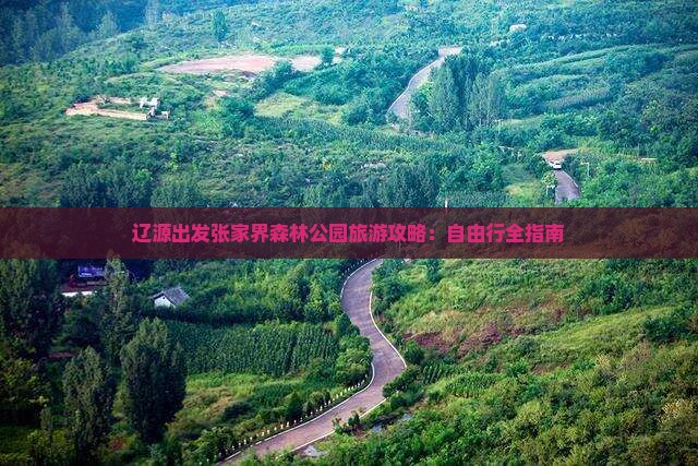 辽源出发张家界森林公园旅游攻略：自由行全指南