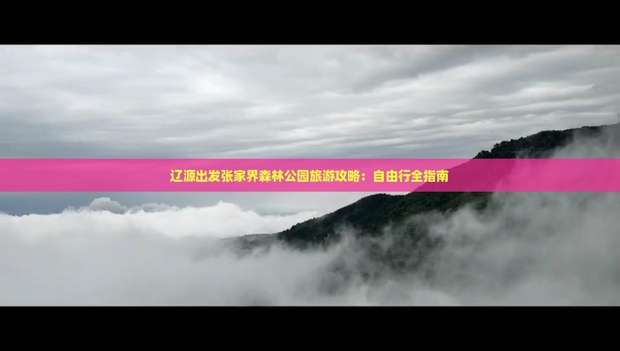 辽源出发张家界森林公园旅游攻略：自由行全指南