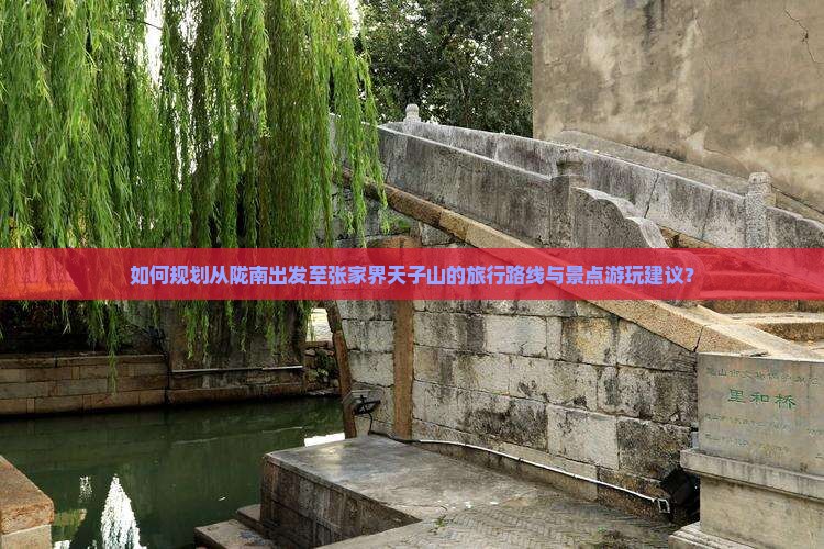 如何规划从陇南出发至张家界天子山的旅行路线与景点游玩建议？