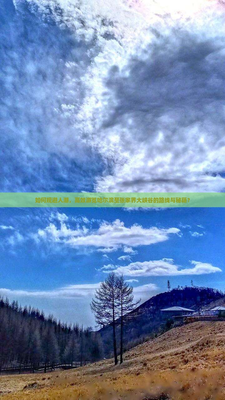 如何规避人潮，高效游览哈尔滨至张家界大峡谷的路线与秘籍？