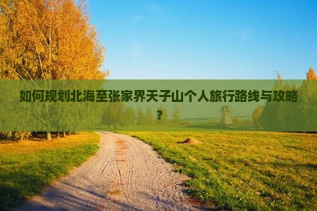如何规划北海至张家界天子山个人旅行路线与攻略？