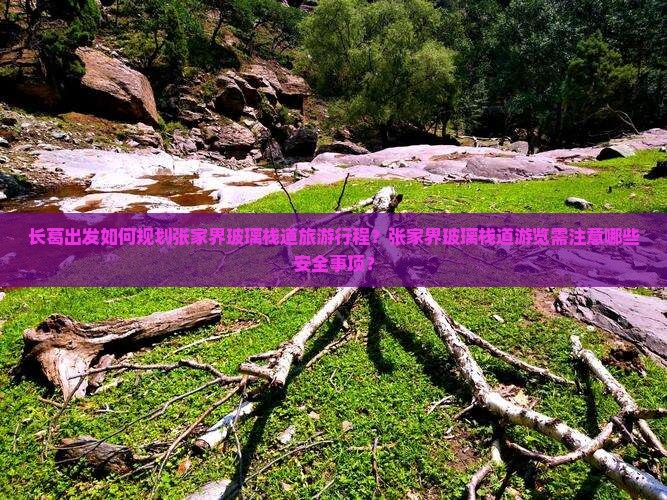 长葛出发如何规划张家界玻璃栈道旅游行程？张家界玻璃栈道游览需注意哪些安全事项？