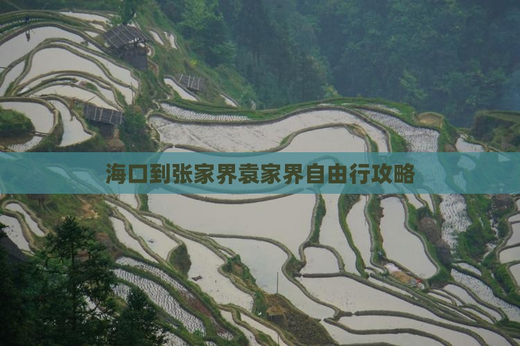 海口到张家界袁家界自由行攻略