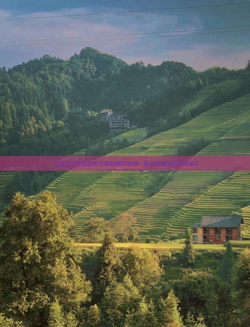 《昌吉出发张家界大峡谷旅行攻略：景点畅游与小吃指南》