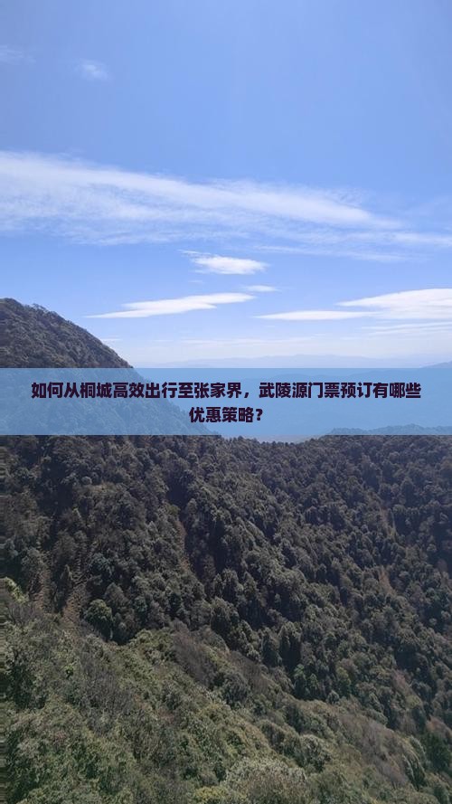 如何从桐城高效出行至张家界，武陵源门票预订有哪些优惠策略？