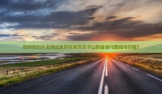 如何规划从无锡出发到张家界天子山的自由行路线与行程？