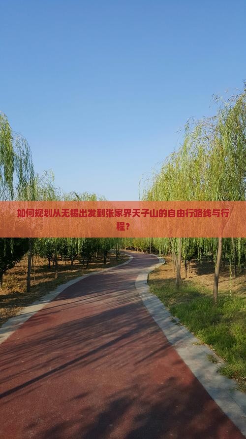 如何规划从无锡出发到张家界天子山的自由行路线与行程？