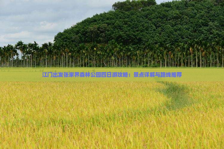 江门出发张家界森林公园四日游攻略：景点详解与路线推荐