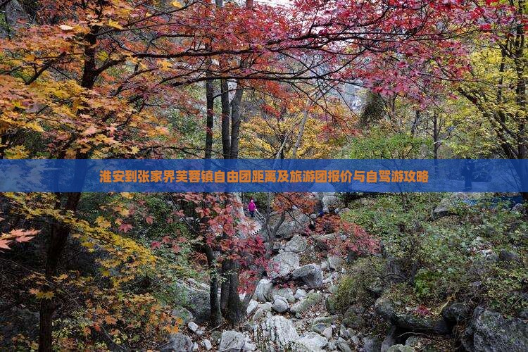 淮安到张家界芙蓉镇自由团距离及旅游团报价与自驾游攻略