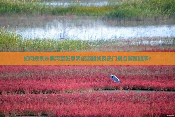 如何规划从黑河至张家界旅游路线及热门景点游览顺序？