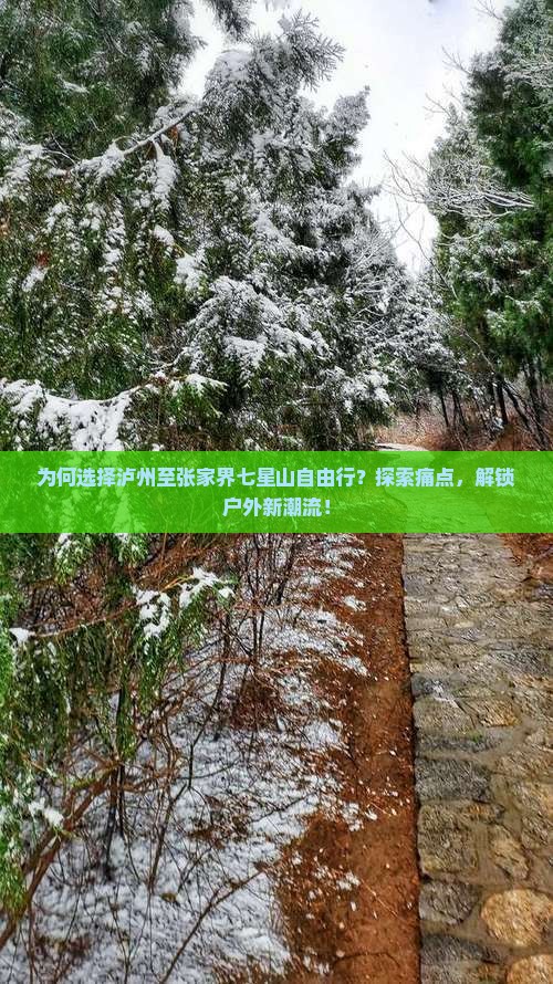 为何选择泸州至张家界七星山自由行？探索痛点，解锁户外新潮流！