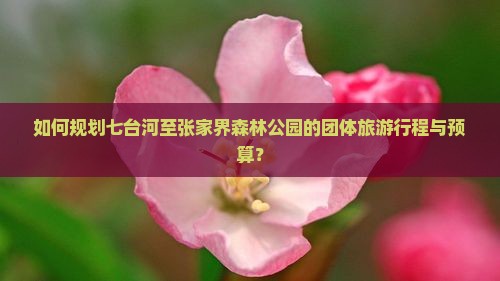 如何规划七台河至张家界森林公园的团体旅游行程与预算？