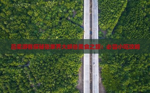 吕梁游客探秘张家界大峡谷美食之旅：必尝小吃攻略