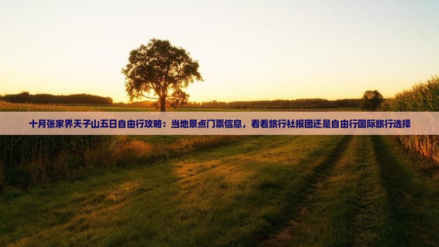 十月张家界天子山五日自由行攻略：当地景点门票信息，看看旅行社报团还是自由行国际旅行选择