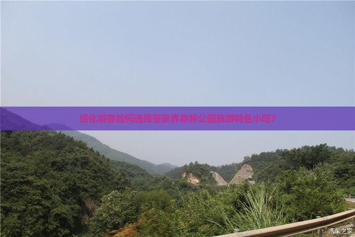 绥化游客如何选择张家界森林公园旅游特色小吃？