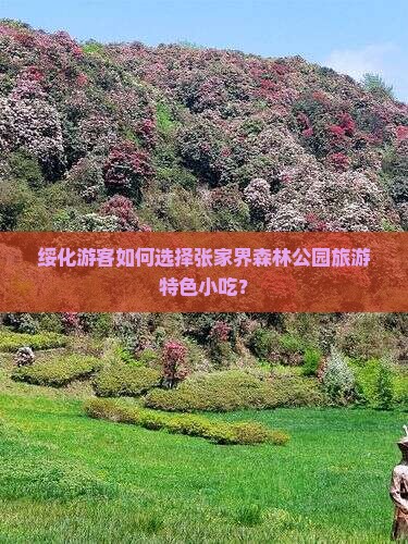 绥化游客如何选择张家界森林公园旅游特色小吃？