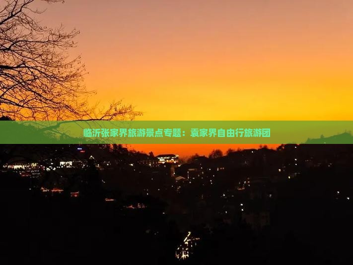 临沂张家界旅游景点专题：袁家界自由行旅游团