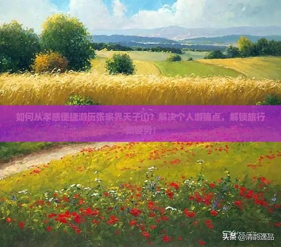 如何从孝感便捷游历张家界天子山？解决个人游痛点，解锁旅行新姿势！