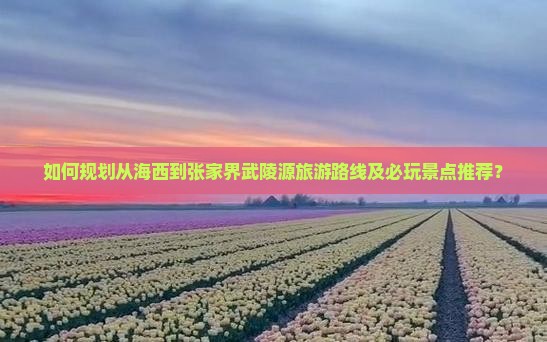 如何规划从海西到张家界武陵源旅游路线及必玩景点推荐？