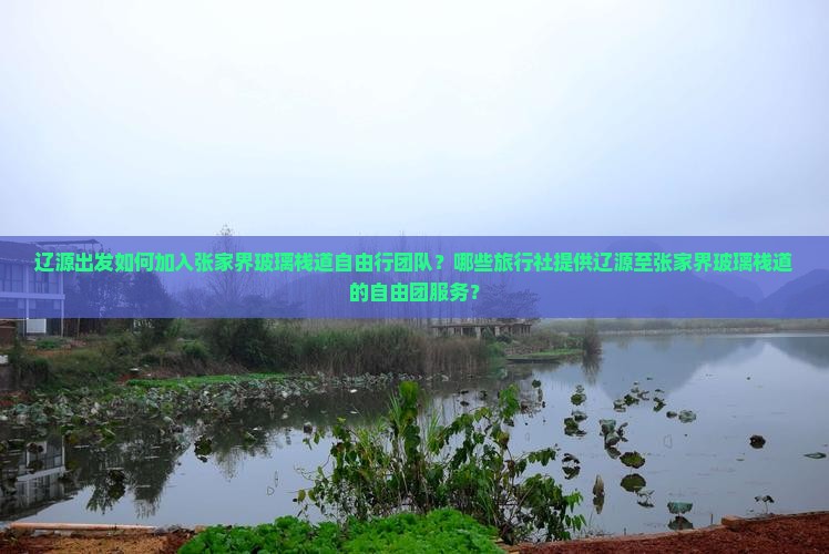 辽源出发如何加入张家界玻璃栈道自由行团队？哪些旅行社提供辽源至张家界玻璃栈道的自由团服务？