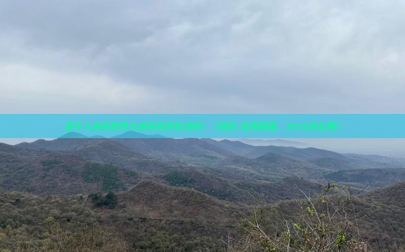 遂宁去张家界大峡谷大型旅游团