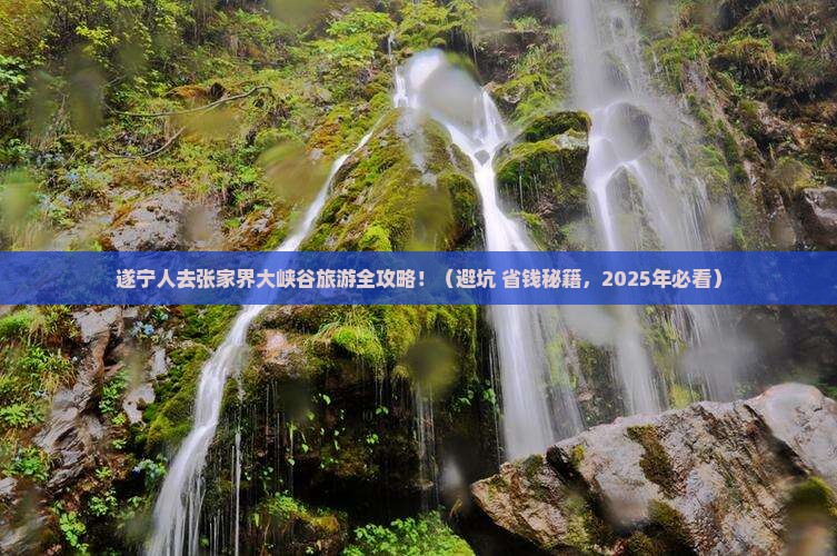 遂宁去张家界大峡谷大型旅游团
