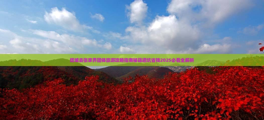 塔城去张家界团体旅游