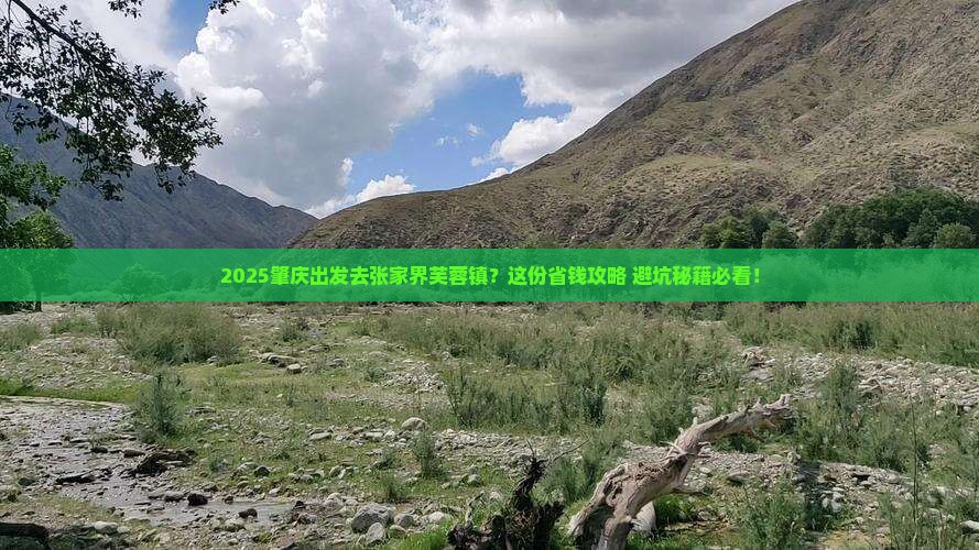 肇庆到张家界芙蓉镇旅行社