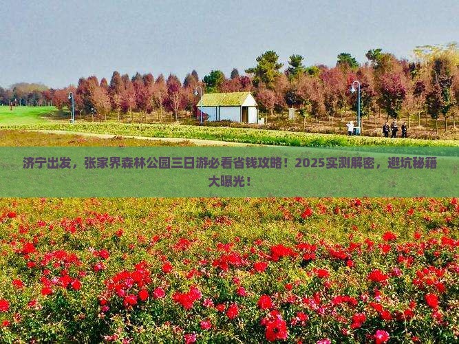 济宁去张家界森林公园三日游