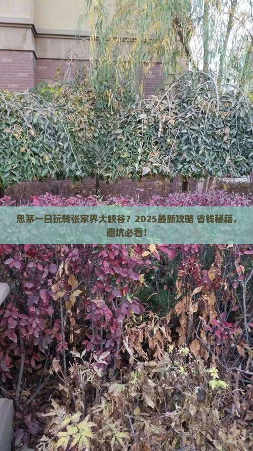 思茅到张家界大峡谷一日