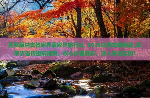 西双版纳去张家界袁家界旅行社