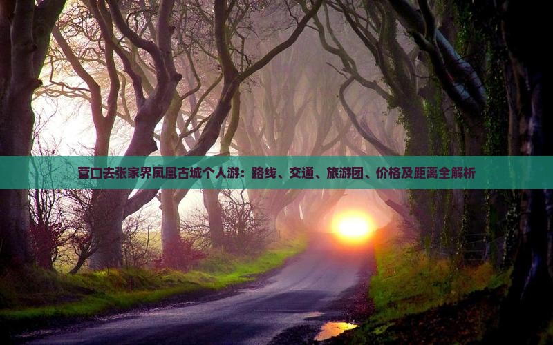 营口去张家界凤凰古城个人游