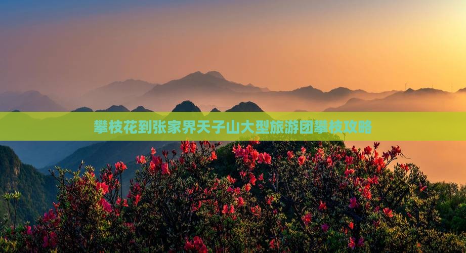 攀枝花到张家界天子山大型旅游团
