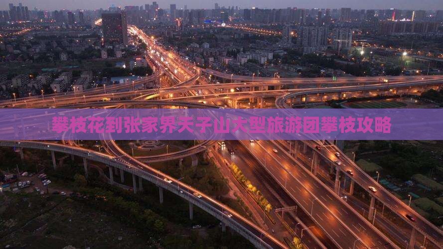 攀枝花到张家界天子山大型旅游团