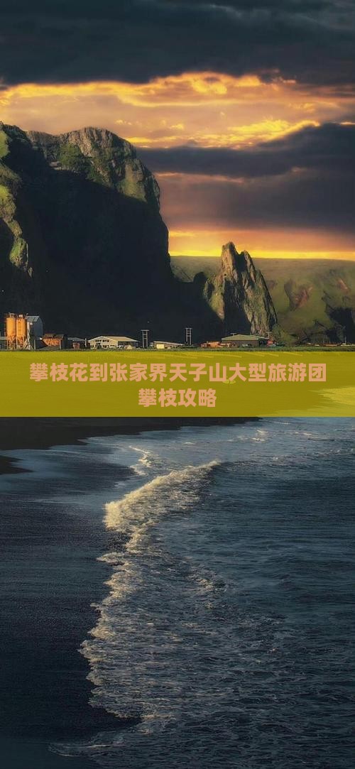 攀枝花到张家界天子山大型旅游团