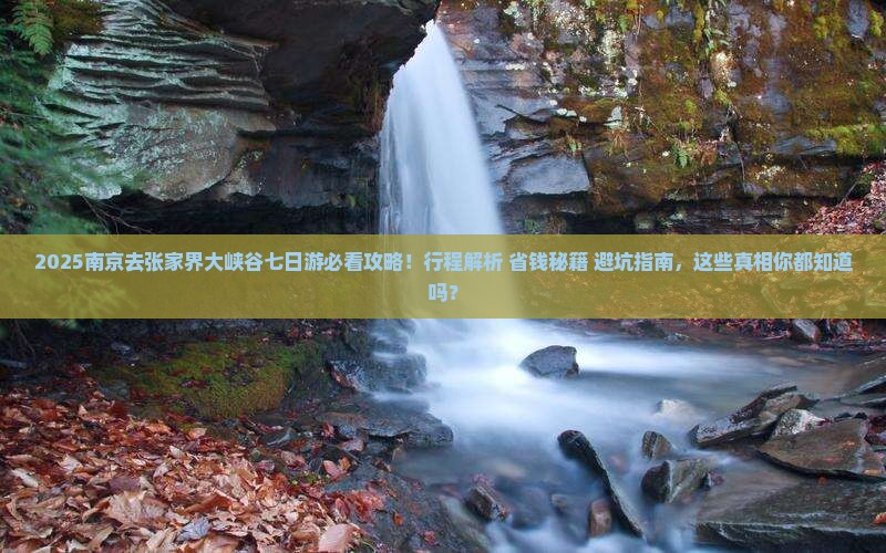 南京去张家界大峡谷七日游