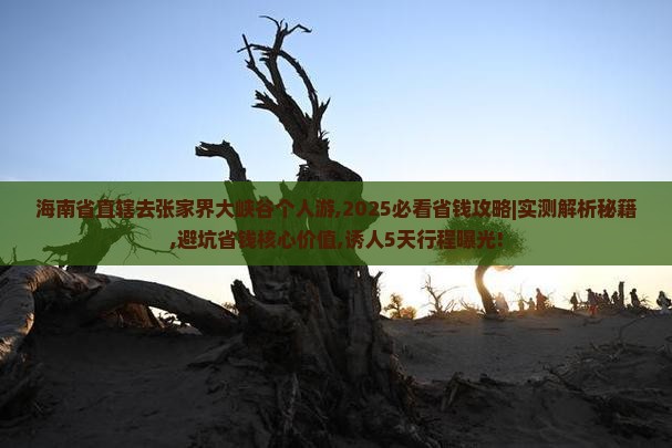 海南省直辖去张家界大峡谷个人游