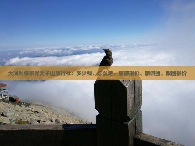 大同到张家界天子山旅行社
