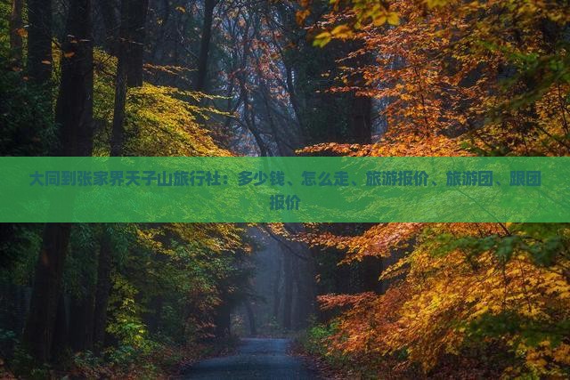 大同到张家界天子山旅行社