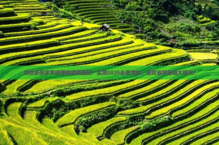 清远去张家界玻璃栈道哪里玩